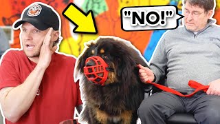 How to train the most AGGRESSIVE dogs in the world Training dogs with a BITE history [upl. by Dlaner]