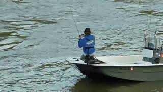 Striper Breaks Rod at Weldon Roanoke river Weldon boat ramp Weldon NC Rockfish capital [upl. by Callery]