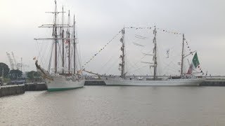 Los veleros que participan de “Velas Latinoamérica” parten desde Buenos Aires hacia Ushuaia [upl. by Pietrek457]