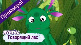 Говорящий лес 🌿 Лунтик 🌲 Новая серия  491  Премьера [upl. by Scotty888]