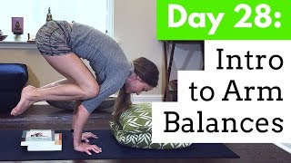 Arm Balance Yoga Poses  Yoga for Beginners  Day 2830 Day Yoga Challenge [upl. by Ahseenak]