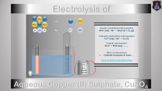 Electrolysis of Copper Sulphate Solution [upl. by Kemp]