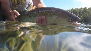 Camp Harmony Restigouche River Atlantic Salmon Fishing [upl. by Childers]