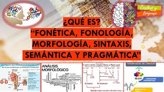 ¿Qué es Fonética Fonología Morfología Sintaxis Semántica Pragmática Temas sobre lenguaje [upl. by Kristoffer]