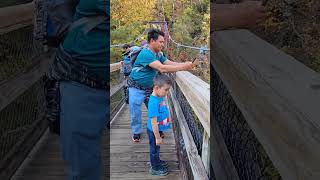 The beauty at Tallulah George State Park 🏞️🌳☀️ nature hiking waterfall youtubeshorts [upl. by Meeharb961]