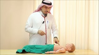 Pediatric Cardiovascular Assessment Physical Examination  Dr Zaher Faisal Zaher [upl. by Suiravaj]