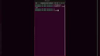 Linux redirect command line output [upl. by Iatnwahs608]