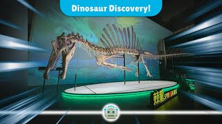 Hong Kongs Historic Dinosaur Discovery A Journey Back 66 Million Years [upl. by Naujet]