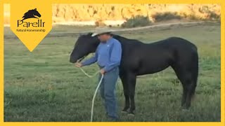 Parelli Natural Horse Training Tip  Pat Parelli shows how to lead a horse [upl. by Esiuol582]