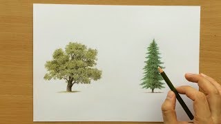 How to Draw Trees With Colored Pencils  Drawing Tutorial [upl. by Ayalat]