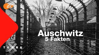 5 Fakten die ihr über Auschwitz wissen solltet  Terra X [upl. by Aivatan]