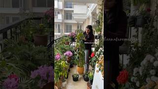 Balcony makeover balcony setup balcony garden small space garden 🎊🪴 [upl. by Castorina]