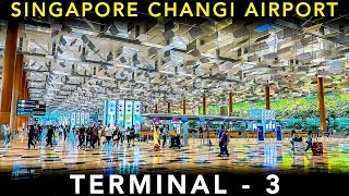 A COMPLETE guide on TERMINAL3 at SINGAPORE CHANGI AIRPORT  Airport Experience [upl. by Gignac]