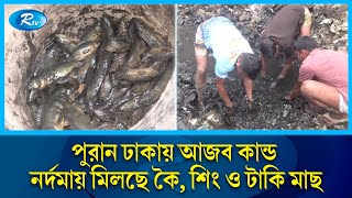 পুরান ঢাকায় নর্দমা থেকে দেশি মাছ শিকার করছে শ্রমজীবী মানুষ  Old Dhaka  Fish  Rtv News [upl. by Noiroc]