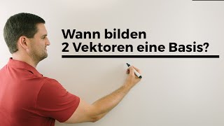 Wann bilden 2 Vektoren eine Basis Mathe by Daniel Jung Erklärvideo [upl. by Chambers787]