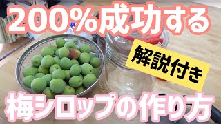 【解説付き】美味しい梅シロップの作り方 【手作り】 [upl. by Alolomo]