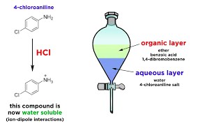 Separating Components of a Mixture by Extraction [upl. by Sheba]