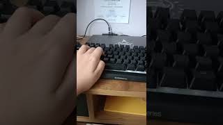 Steelseries APEX 3 TKL keyboard ASMR [upl. by Busiek129]