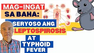 Magingat sa Baha Seryoso ang Leptospirosis Typhoid Fever Reposted Video [upl. by Zug]