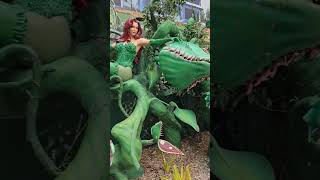 Poison Ivy at Movie World shorts [upl. by Aeduj]