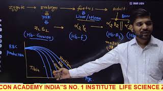 Hemoglobin Oxygen Dissociation Curve II Factor affecting Hb O2 Affinity II Important For NET [upl. by Norha]