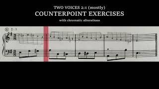 Counterpoint Exercises  2 voice 21 chromatism  Igor Franco on Kent Kennans Workbook [upl. by Eolcin]