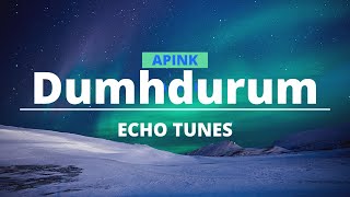 Apink Dumhdurum Music Audio Official  ECHO TUNES [upl. by Onimod202]