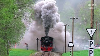 Eisenbahnen 2013 55 Steam Trains  Züge [upl. by Yrtnahc292]