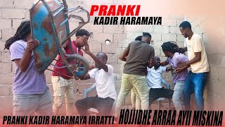 pranki kadir haramaya irratti prank hojjadhe arraa ayiti miskina [upl. by Azalea]