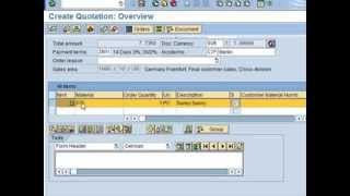 SAP Tutorial for beginners  SAP ERP [upl. by Derriey]