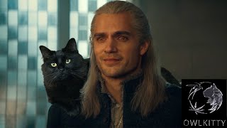 If Geralt had a Cat OwlKitty  Witcher [upl. by Taddeusz968]