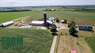 18745 Hwy 17 Cobden  Farms For Sale In Ontario [upl. by Neetsuj]