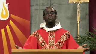 Catholic Mass Today  Daily TV Mass Tuesday November 12 2024 [upl. by Cleopatre]