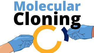 Molecular Cloning explained for Beginners [upl. by Yentterb]