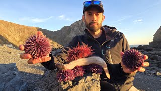 Eels and Uni Sea Urchin  Best Yield Ive Ever Seen [upl. by Langill]