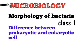 Difference between prokaryotic cell and eukaryotic cell morphology of bacteria introduction nurs [upl. by Ydnahs]