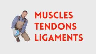 Strains and Sprains  Avoid Painful Muscle Tendon or Ligament Injury [upl. by Canica]