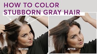 How to Color Stubborn Gray Hair [upl. by Breeze776]