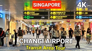 Changi Airport Transit Area Tour  Singapore Changi Airport Tour  Changi Airport Terminal 1 [upl. by Shanney]