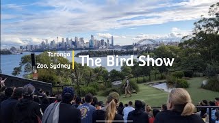 The Bird Show  Taronga Zoo  Sydney [upl. by Arola]