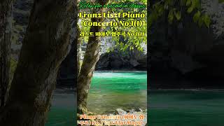 Franz Liszt Piano Concerto No11  리스트 피아노 협주곡 1번1 Relax for a second in classic [upl. by Leavy]