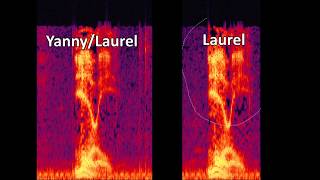 Yanny  Laurel  Removing HighLow Frequencies [upl. by Ilehs]