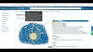 Uniprot Tutorial 3 [upl. by Pouncey]