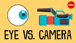 Camera or eye Which sees better  Michael Mauser [upl. by Ellerred]