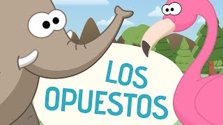 Canción de los opuestos  Canciones Infantiles  Toobys [upl. by Ahsieyn]