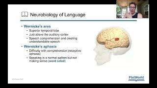 Chapter 7 Neurobiology of language and lateralization [upl. by Hannahoj2]