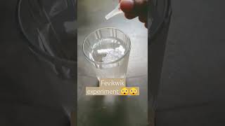 fevikwik experiment science water 😲😲 [upl. by Anahc]