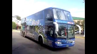 flecha bus jovi bus terminal de concordia [upl. by Garap]