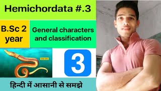 General characters and classification of Hemichordata  BSc 3rd Year Zoology 5th Semester 2nd Paper [upl. by Notslah]