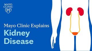 Mayo Clinic Explains Kidney Disease [upl. by Enivid605]